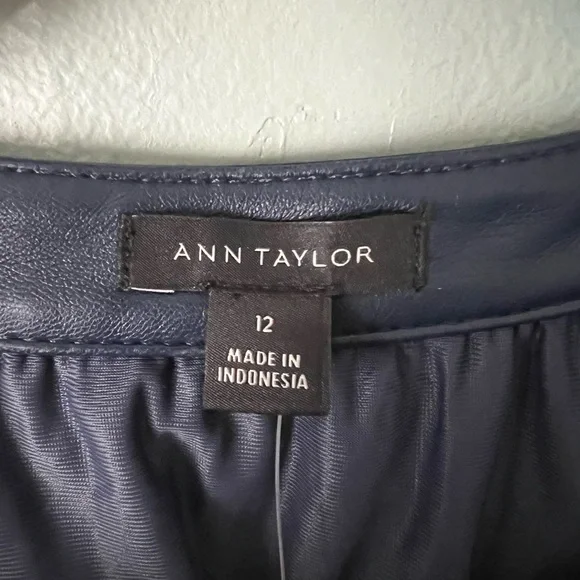 Ann Taylor Blue Faux Leather Dress - Picture 3 of 11